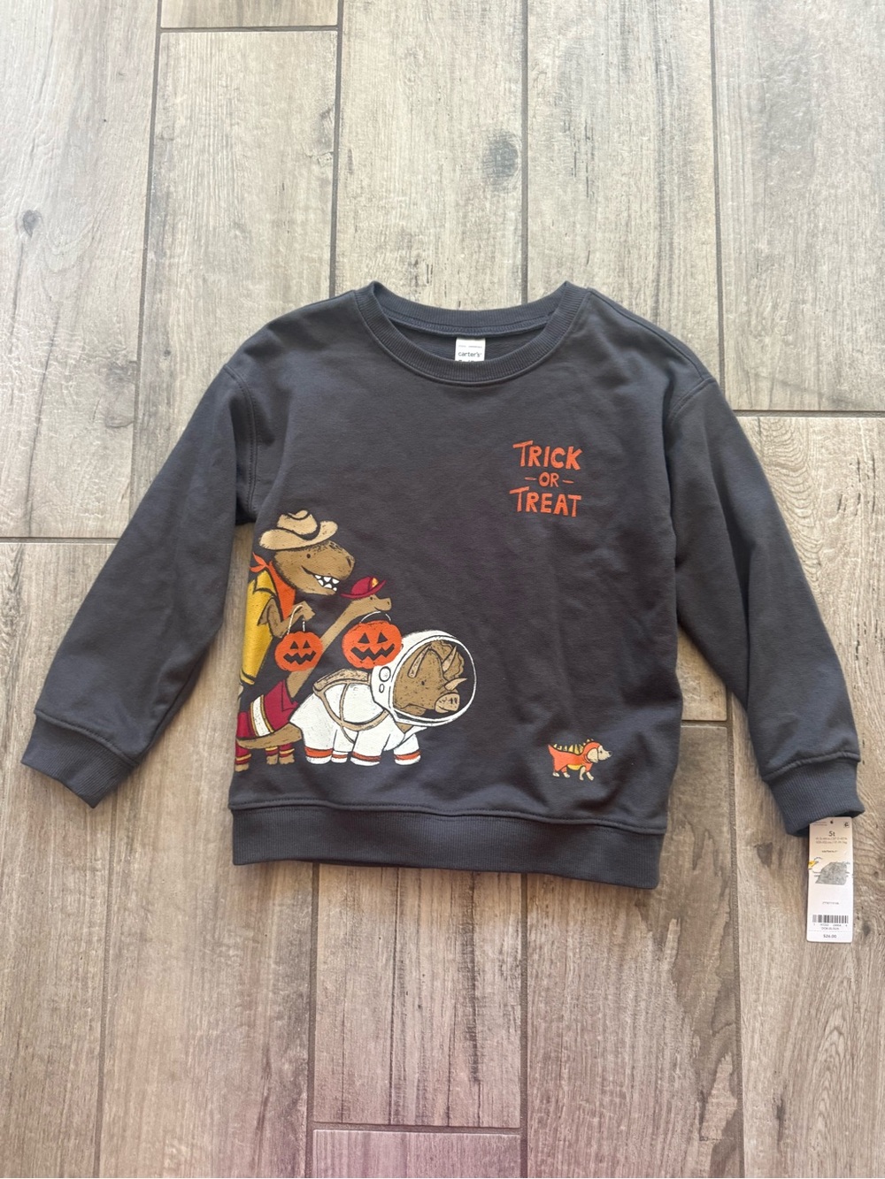 Carter's  Kids Trick-or-Treat Dinosaur Sweatshirt